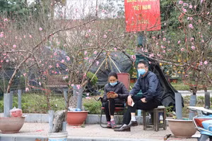 Chợ hoa Tết của Hà Nội lại vắng vẻ, thưa thớt khách.
