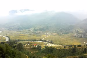 Ruộng bậc thang Tả Phìn mùa lúa chín.