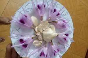 Hôm nay có quyết định quan trọng về Dự án đường sắt Cát Linh - Hà Đông