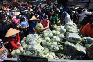 Người dân giải cứu nông sản cho tỉnh Hải Dương