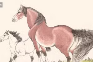 4 con giáp cùng tuổi lấy nhau hôn nhân dễ xung đột, đổ vỡ