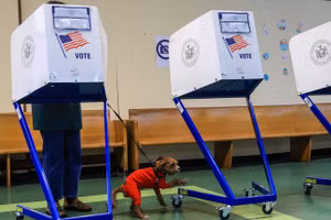 Một cử tri bỏ phiếu tháng trước trong cuộc bầu cử sơ bộ ở New York. (Ảnh: Getty Images)