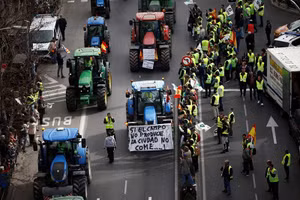 Đến lượt nông dân Tây Ban Nha đưa loạt máy kéo ra thủ đô