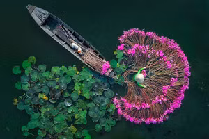 Những tác phẩm đoạt giải cuộc thi phóng viên ảnh Andrei Stenin