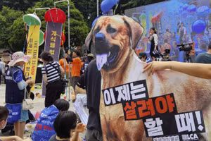 Bức ảnh chụp ở Seoul tháng 7/2023 cho thấy một cuộc biểu tình phản đối việc tiêu thụ thịt chó. (Yonhap/Kyodo)
