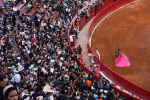 Chùm ảnh đấu bò ở thủ đô Mexico bất chấp bị phản đối