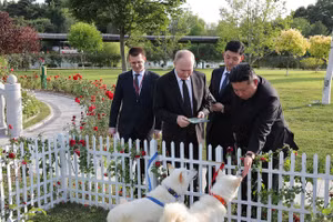 Nhà lãnh đạo Triều Tiên Kim Jong-un tặng Tổng thống Nga Vladimir Putin một cặp chó trong khu vườn của Nhà khách Quốc gia Kumsusan ngày 19/6. Ảnh: AFP