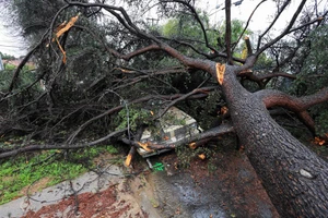 Chùm ảnh bão ‘sông khí quyển’ tàn phá California 