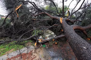Chùm ảnh bão ‘sông khí quyển’ tàn phá California 