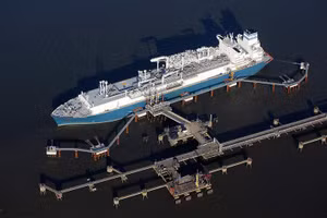 (Ảnh: Global Look Press/Stefan Rampfel)