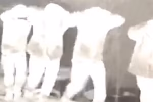 (Ảnh: Bộ Quốc phòng Nga/TASS)