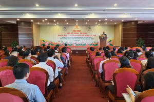 Toàn cảnh hội thảo