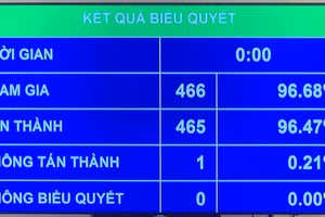 Kết quả biểu quyết