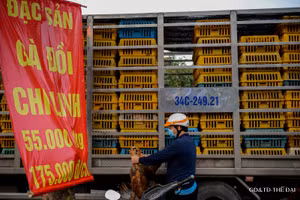 Gà đồi Chí Linh được bán với giá 55.000 đồng/1kg, 175.000 đồng/1 con.