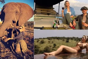 Ngôi sao Mauro Icardi (PSG) và vợ Wanda Nara đang thưởng ngoạn tại châu Phi.