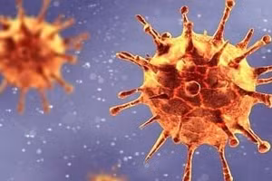 HCDC đang truy vết nguồn lây nhiễm Covid-19 mới trong cộng đồng (Ảnh: HCDC).