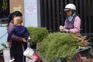 Người Hà Nội xuống phố mua mùi già, tắm Tất niên