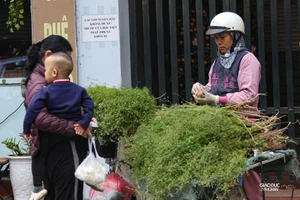 Người Hà Nội xuống phố mua mùi già, tắm Tất niên