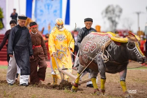 Hàng ngàn người đến xem 'vua' cày ruộng trong Lễ hội Tịch điền