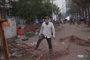 Giá quá rẻ, tiểu thương vừa bán vừa cho, thẳng tay bẻ cành đào