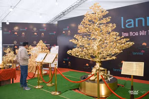 Cây mai mạ vàng 24K giá 5,5 tỷ đồng tại Hà Nội