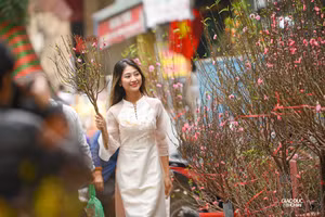 Chợ hoa Hàng Lược rực rỡ, tấp nập người dân mua sắm Tết 