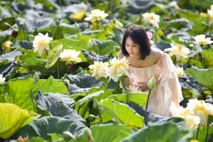 Hoa sen vàng lần đầu tiên nở rộ đã thu hút rất đông người đến để check-in.