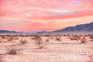 Sa mạc gần Yuma, Arizona, nơi cặp đôi June Marajane Walker và Klaus W. Martens biến mất không để lại dấu vết.