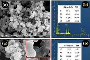 Hình ảnh than sinh học hình cầu từ tính có nguồn gốc từ glucose và FeCl3 để xử lý chất ô nhiễm paracetamol trong môi trường nước.