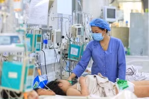 Theo HCDC, từ ngày 15 - 21/8, thành phố ghi nhận 46.044 trường hợp mắc sốt xuất huyết. Ảnh: HCDC