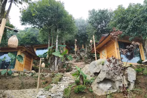 Các căn phòng lưu trú lẩn khuất dưới tán cây. Cơ sở lưu trú homestay này được cho là của gia đình ông Nguyễn Viết Sơn (1/5 hộ vi phạm vào đất quy hoạch 3 loại rừng theo Báo cáo 290 của UBND huyện).