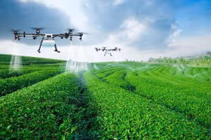 Ảnh minh họa/INT