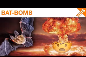 Dơi mang bom hẹn giờ sẽ tàn phá các thành phố của đối phương.