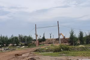 Bến bãi không phép ngay chân cầu vượt biển đã bị dừng hoạt động.