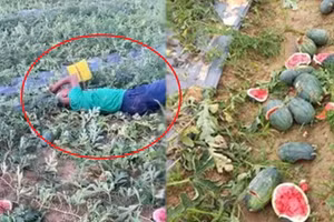 Ảnh minh họa/INT