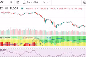 Chỉ số MCDX cho thấy, dòng tiền tổ chức (nến màu đỏ) dần rút khỏi thị trường từ giai đoạn tháng 4/2022 (biểu đồ 24Hmoney).