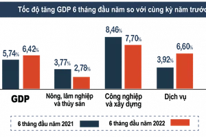 Trong mức tăng chung của toàn nền kinh tế 6 tháng đầu năm, khu vực nông, lâm nghiệp và thủy sản tăng 2,78%.