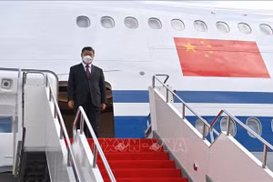 Ảnh minh họa/INT