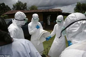 Lo ngại virus Ebola có thể lây truyền qua không khí