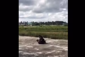 Hai nữ sinh ở Gia Lai đánh nhau. Ảnh cắt từ clip.