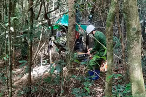 Trước đó, tại khu vực rừng huyện Kbang người dân cũng phát hiện hai bộ xương khô của hai cha con.
