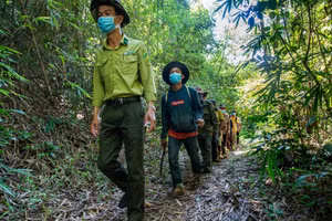 Công việc bảo vệ rừng nặng nhọc, nguy hiểm... nên nhiều cán bộ, nhân viên xin nghỉ.