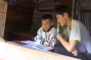 Thời gian rảnh, Phạm Hồng Phúc hướng dẫn cho em trai học tập.