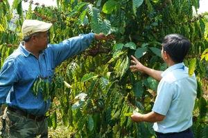 Để người dân có cuộc sống ổn định, vươn lên thoát nghèo xã Đăk Ang lấy việc đào tạo nghề nông nghiệp làm trọng tâm.