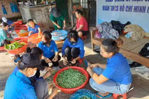 Tình nguyện viên tại huyện Đăk Glei sơ chế thức ăn, chuẩn bị bữa cơm cho thí sinh.