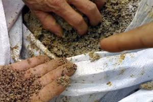 Công ty TNHH Dũng Khánh Hiền Gia Lai bị xử phạt 136 triệu đồng vì buôn bán phân bón giả.