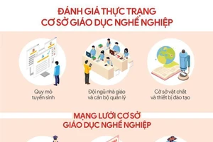 Chỉ số chất lượng đào tạo nghề Việt Nam nhóm bét ASEAN