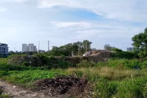 Dự án Đô thị mới TMS Land Đầm Cói sau hàng chục năm vẫn là đầm nước mênh mông