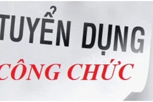 Từ 1/8/2024, chỉ tuyển công chức đạt kết quả kiểm định chất lượng đầu vào