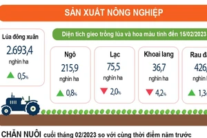 Tình hình kinh tế – xã hội tháng 02/2023